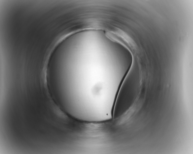 X0000088490854200706051417