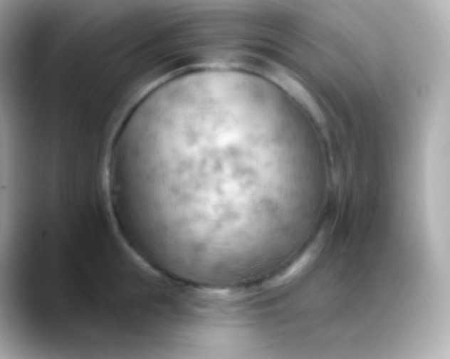 X0000088490855200706051417