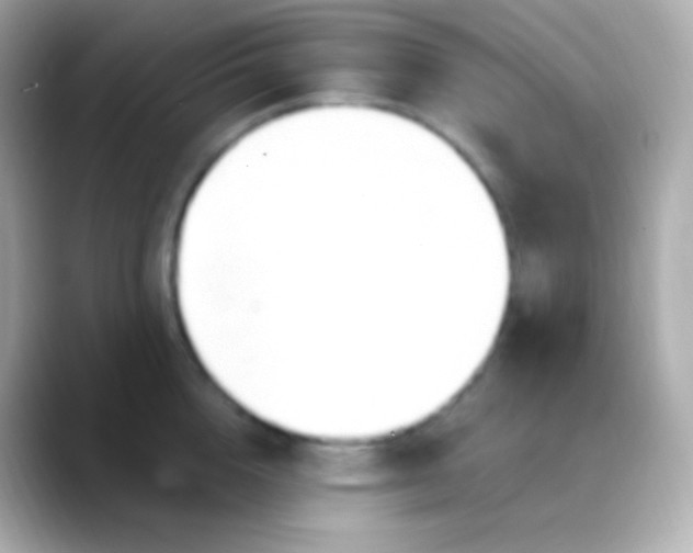 X0000088490856200706051417