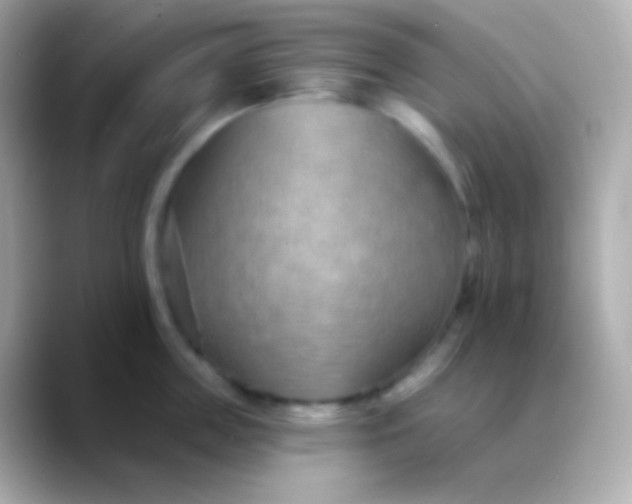 X0000088490859200706051417