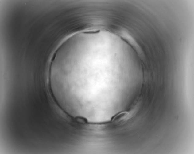 X0000088490860200706051417