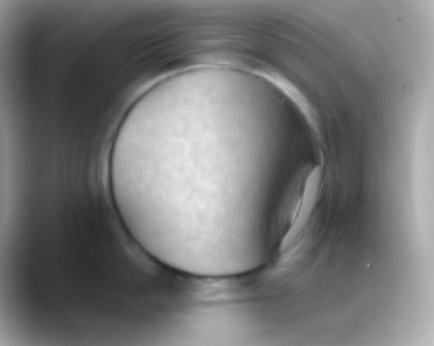 X0000088490862200706051417