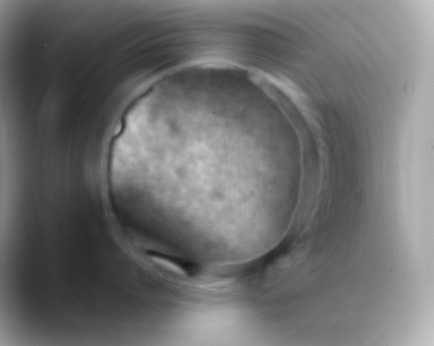 X0000088490864200706051417