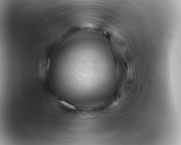 X0000088490868200706051416