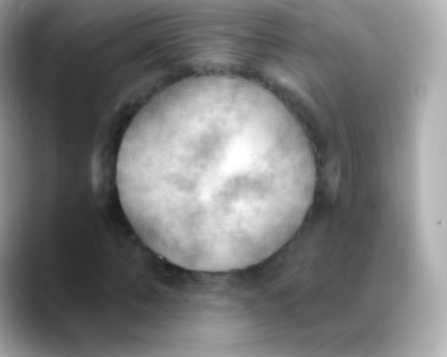 X0000088490870200706051416