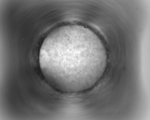 X0000088490871200706051416