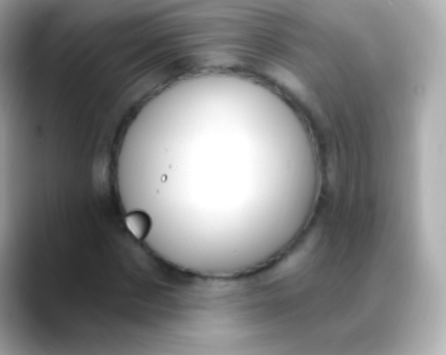 X0000088490873200706051416