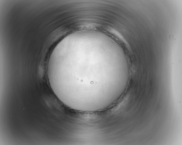 X0000088490874200706051416