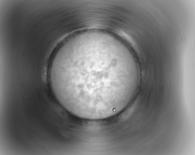 X0000088490875200706051416