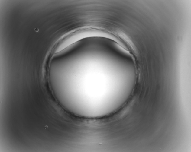 X0000088490876200706051416