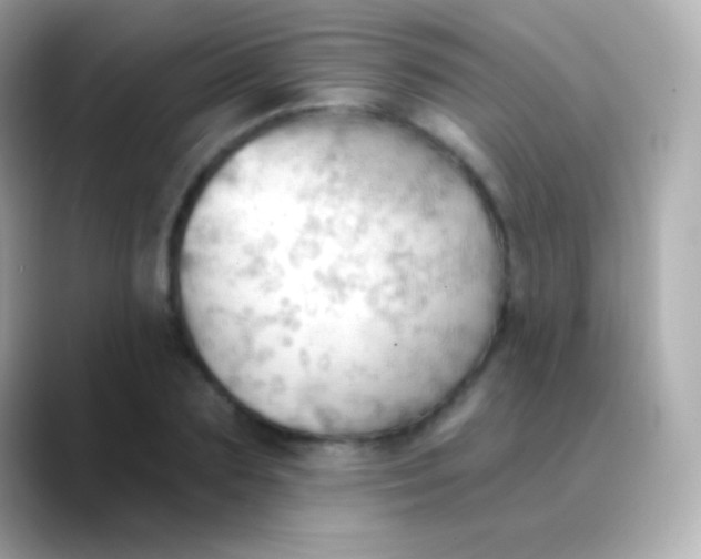 X0000088490883200706051416