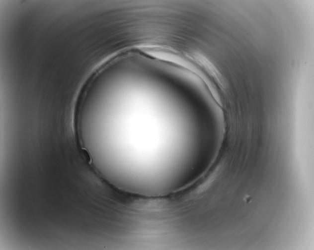 X0000088490884200706051416