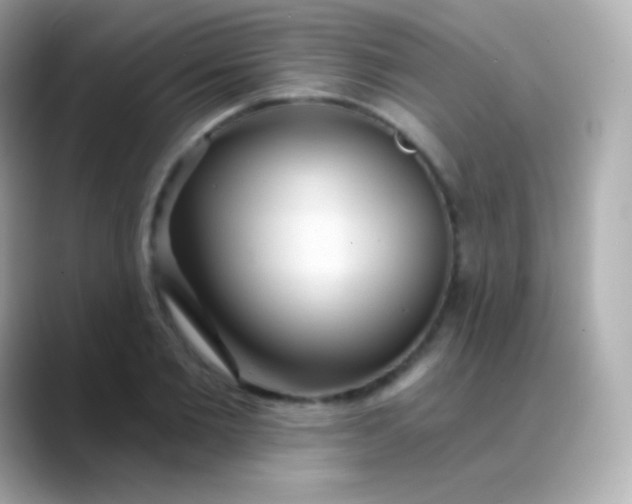 X0000088490885200706051416