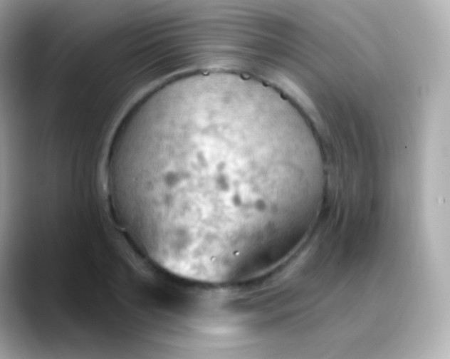 X0000088490891200706051416