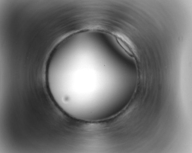 X0000088490894200706051416