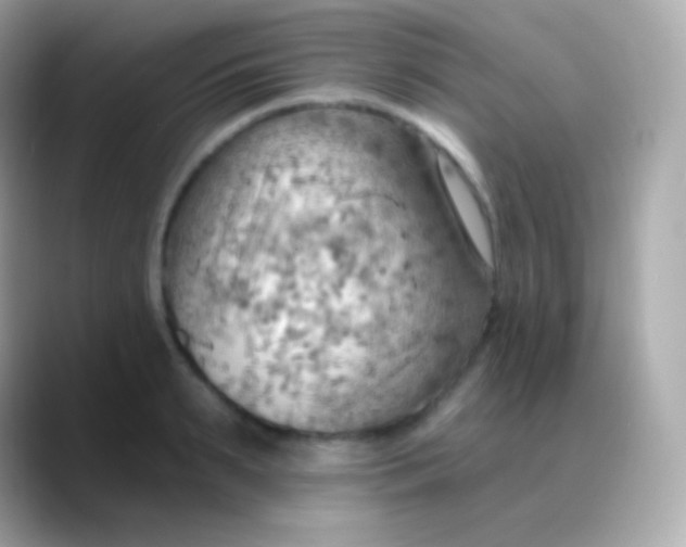 X0000088490895200706051416