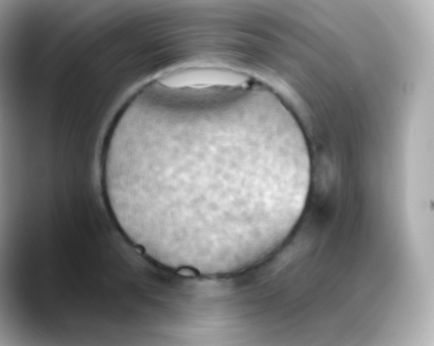 X0000088490896200706051416