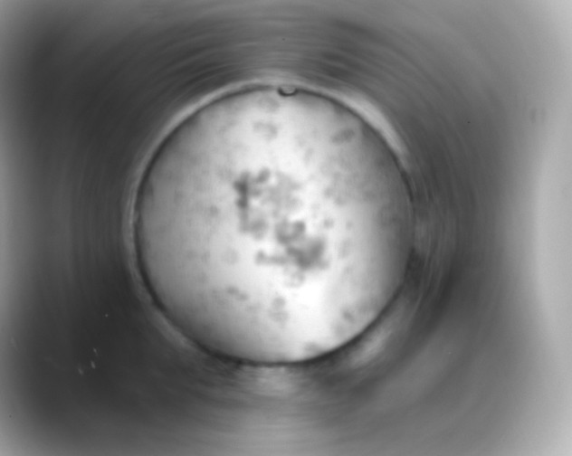 X0000088490903200706051416