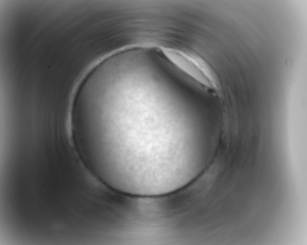 X0000088490904200706051416