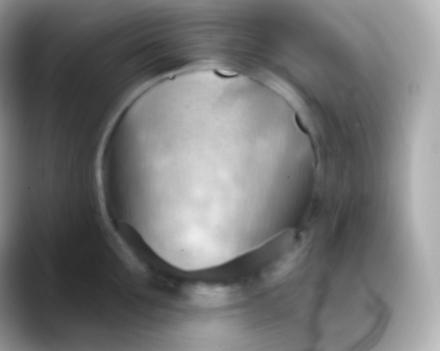 X0000088490907200706051416