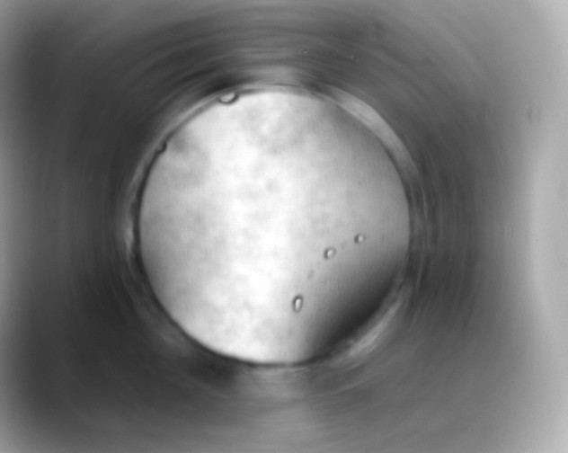 X0000088490908200706051416