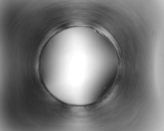 X0000088490909200706051416