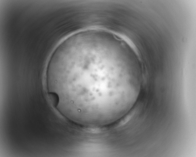 X0000088490911200706051416