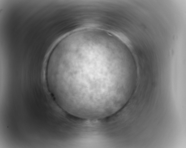 X0000088490912200706051416