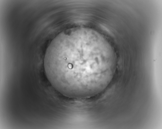 X0000088490917200706051415