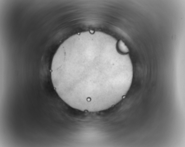 X0000088490918200706051415