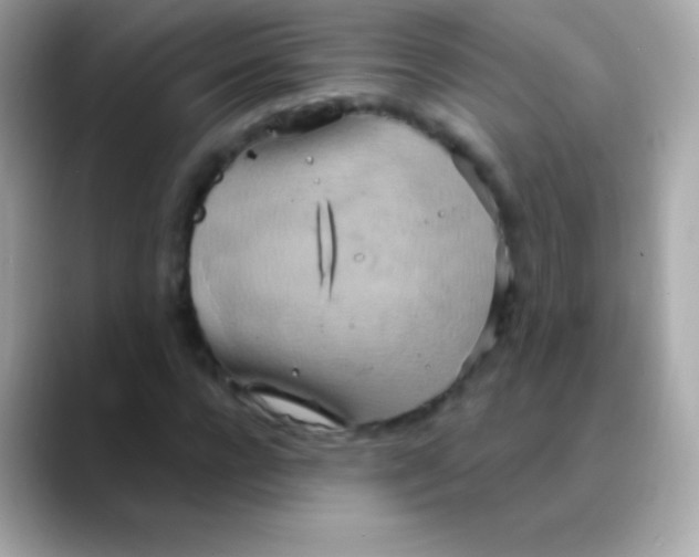 X0000088490920200706051415