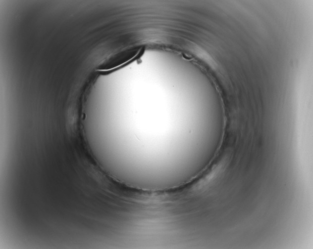 X0000088490922200706051415