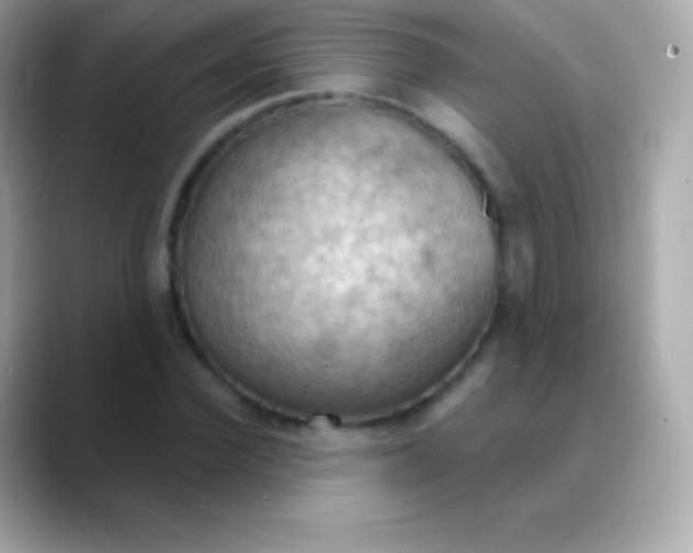 X0000088490924200706051415