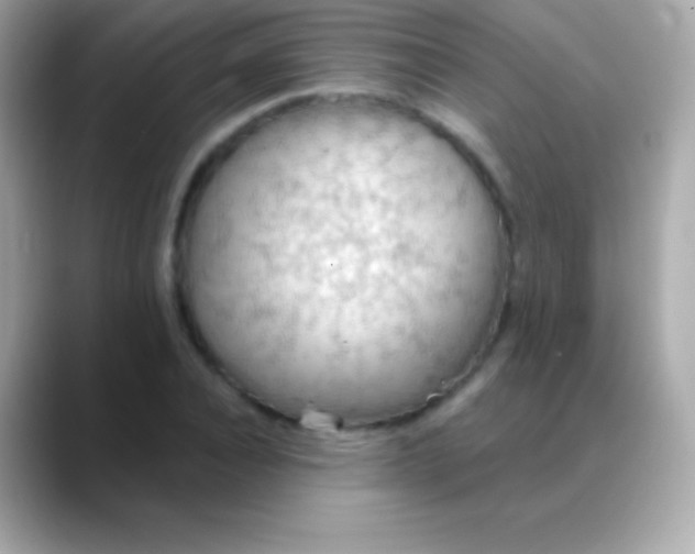 X0000088490928200706051415