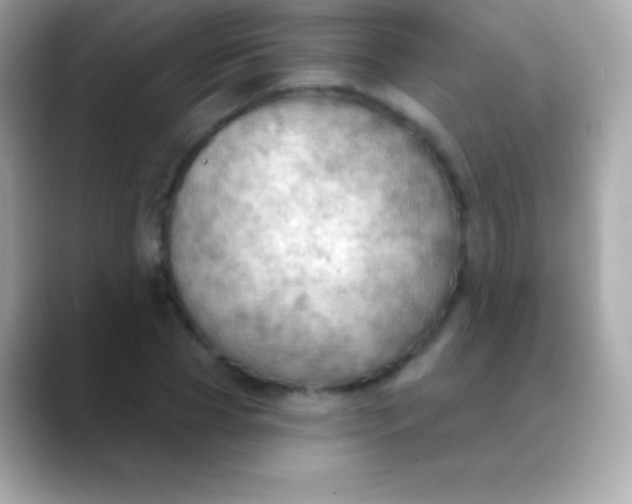 X0000088490929200706051415