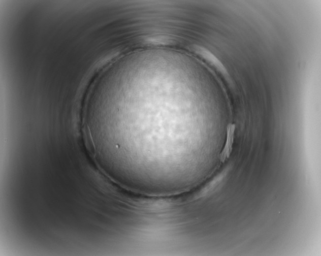 X0000088490930200706051415