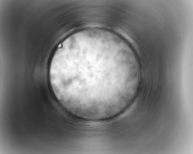 X0000088490933200706051415