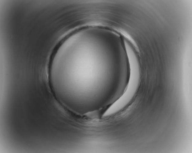 X0000088490935200706051416