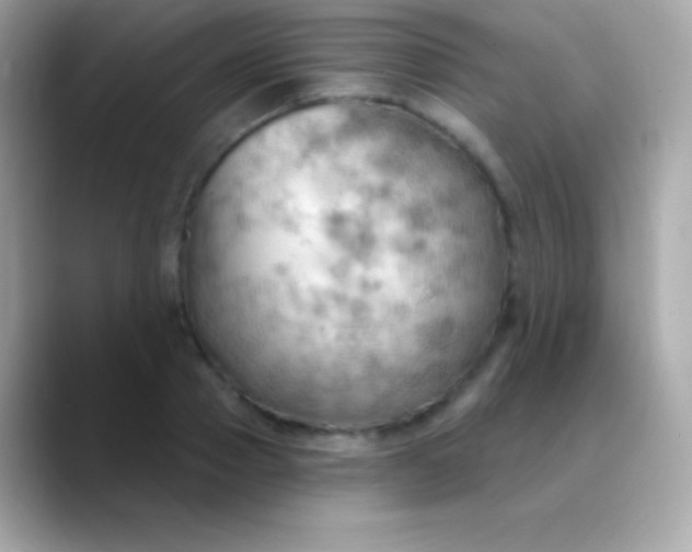 X0000088490937200706051416