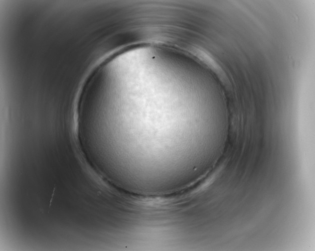 X0000088490940200706051416