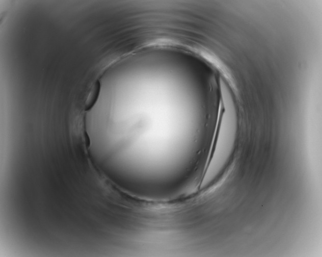 X0000088490945200706051416