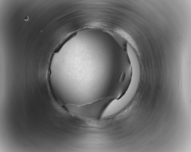 X0000088490946200706051416