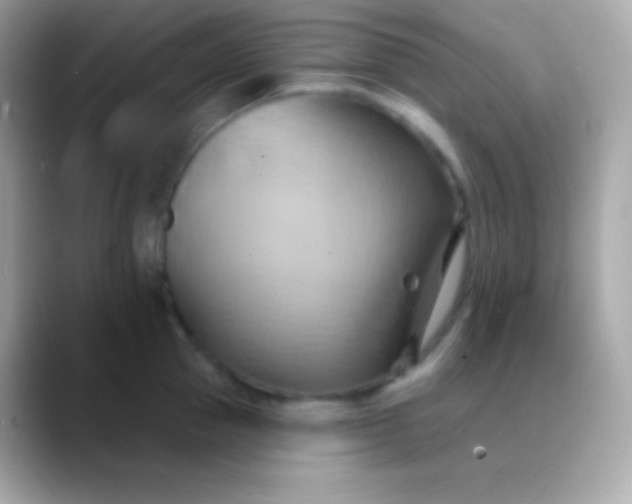 X0000088490953200706051416