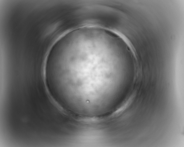 X0000088490957200706051416