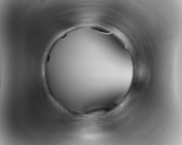 X0000088490958200706051416