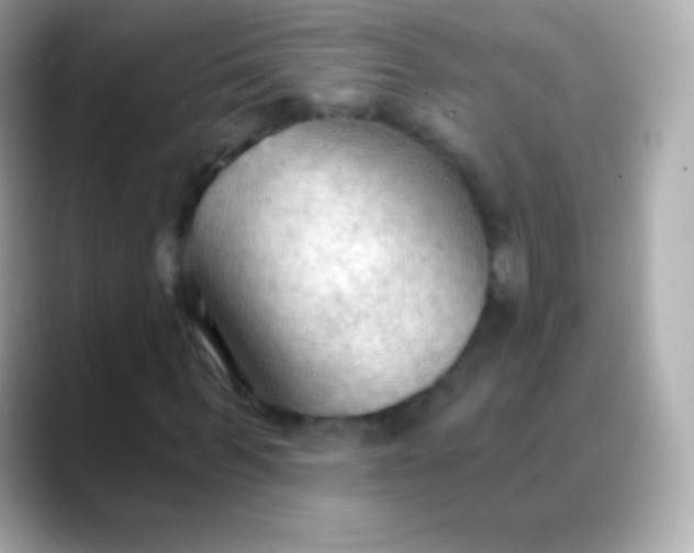 X0000088490963200706051415