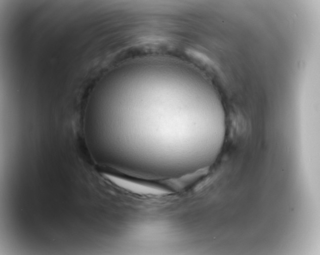 X0000088490965200706051415