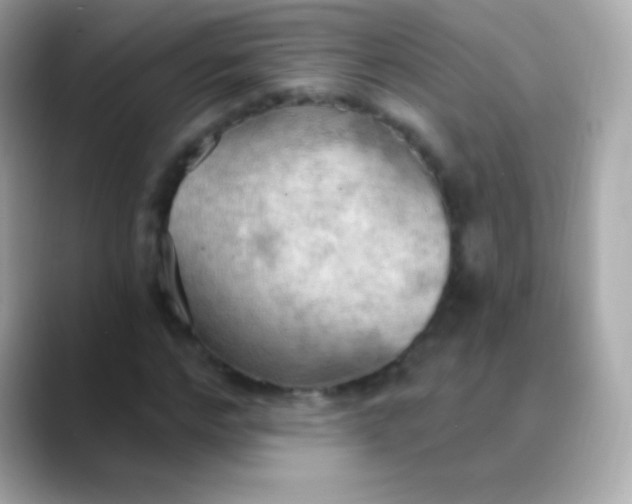 X0000088490968200706051415