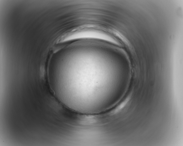 X0000088490969200706051415