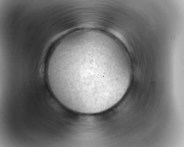 X0000088490971200706051415